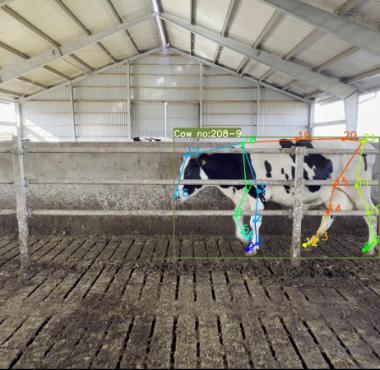 BoviWalk lancerer nyt AI-drevet kamera