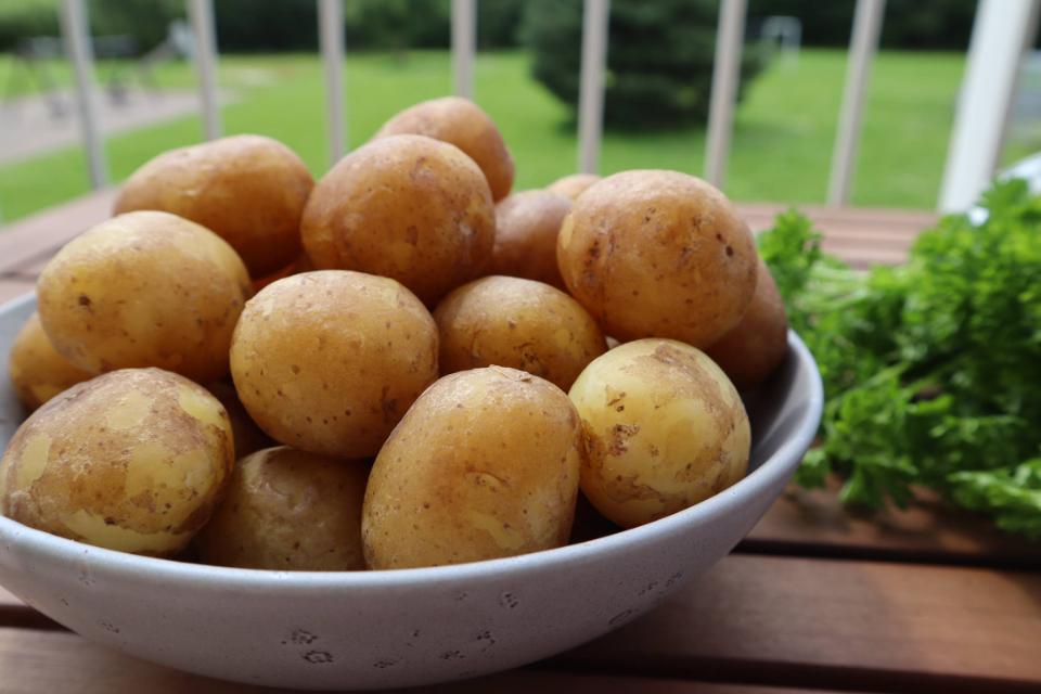 Kom til Kartoffeldag på Agromek