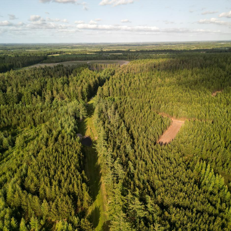 Skovdrift og skovforvaltning