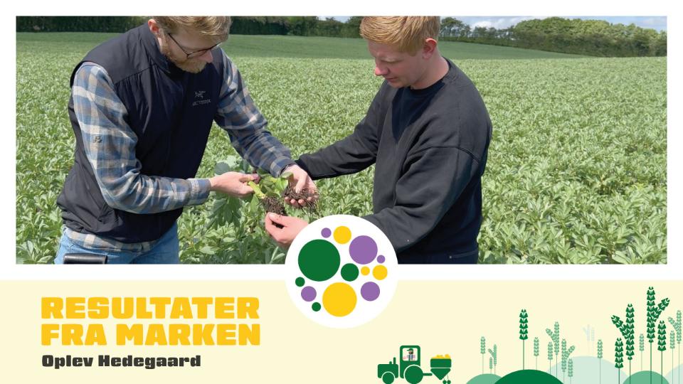 Kundevideo - SeedSpeed® hos Oplev Hedegaard