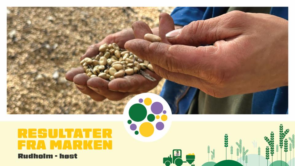 Kundevideo - Høstresultater med SeedSpeed®