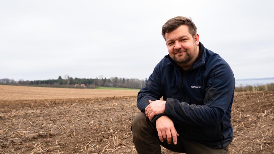 Blomsterstriber i faste kørespor – Insekt Step Stone