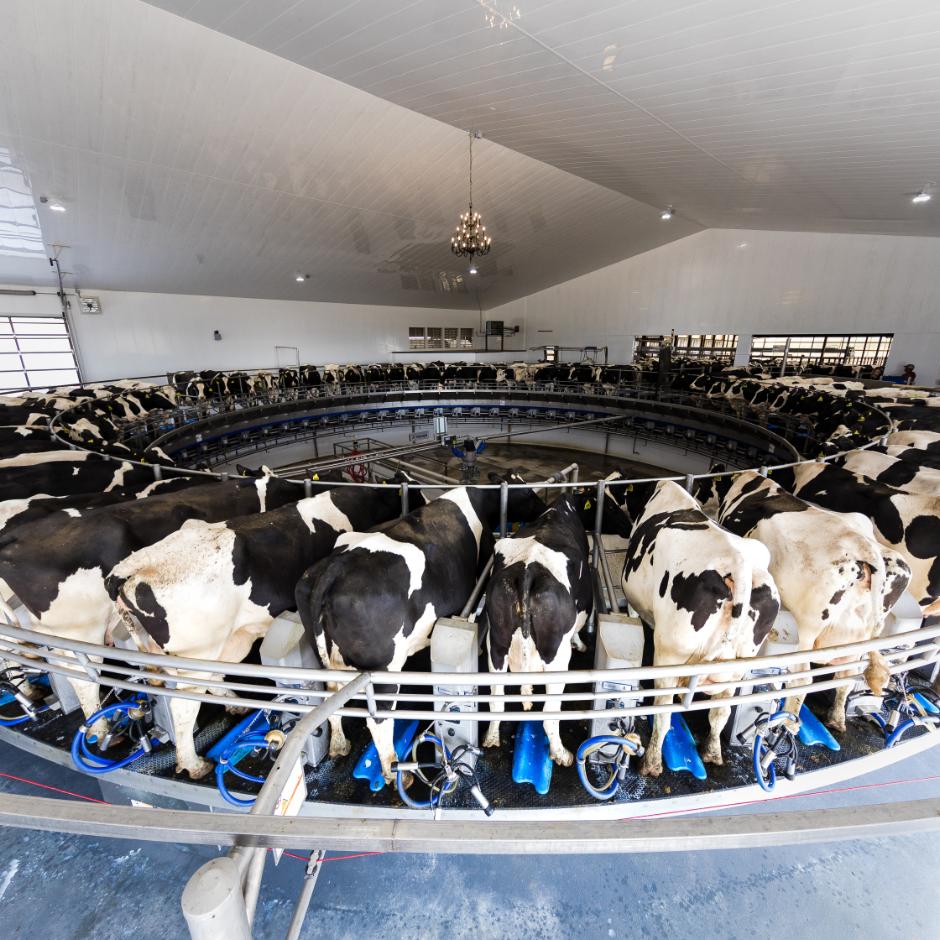 DeLaval malkekarrusel E500