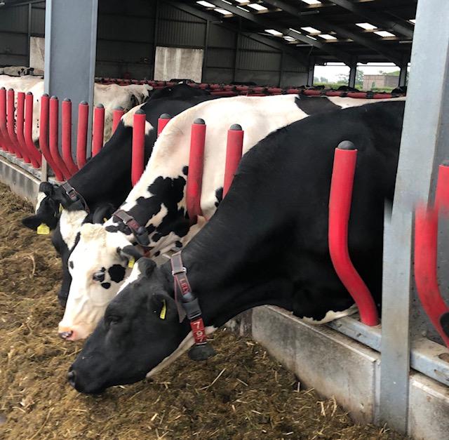 EVOLVE foder forværk