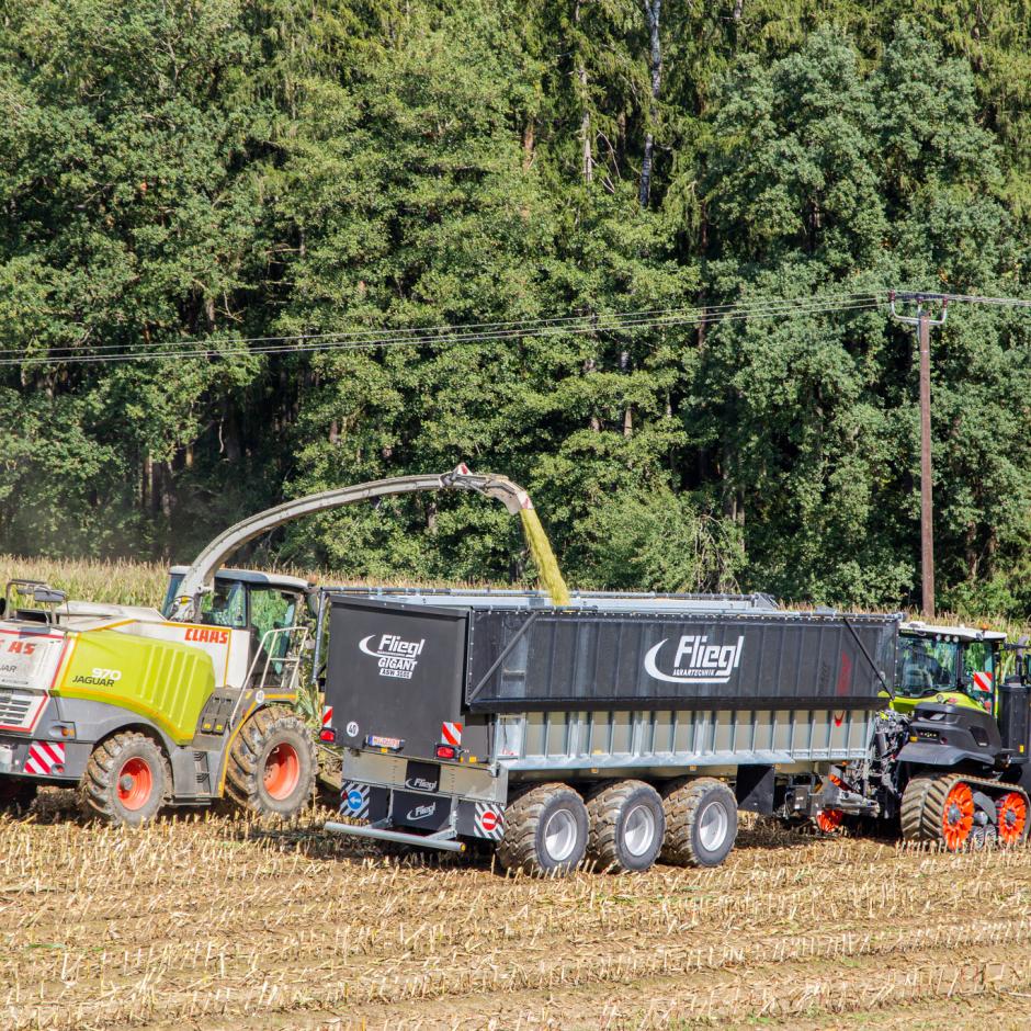 Fliegl ASW 3101 TAURUS
